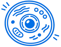Cellular Function & Energy