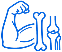 Musculoskeletal Health